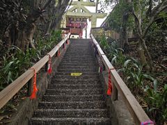 -西双版纳原始森林公园