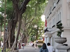 -白天鹅宾馆·流浮阁咖啡厅