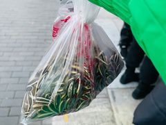 -秋栗香(地安门店)