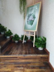 -川禾美发沙龙