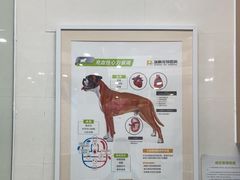-瑞鹏宠物医院华南总院·夜诊·心脏科·骨科