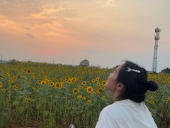 -白鹭湾湿地公园