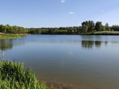 -东郊湿地公园