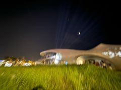 -马大胡子清真西北菜