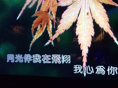 -温莎KTV(珠江路店)