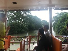 -大湾区中央湿地公园