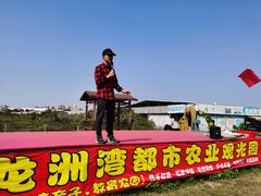 -麻涌飞鸭开心农场