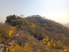 -大岭沟猕猴桃谷风景区