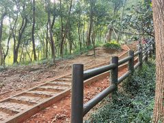 -上海佘山国家森林公园天马山园