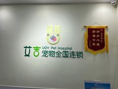 -艾吉宠物医院·疑难杂症转诊中心·猫友好(碧江路院)