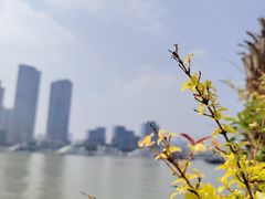 -三利音·浦之舟(滨江大道店)