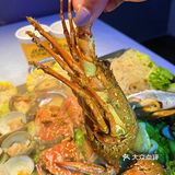 北京路🈶️一怪‼️真的🔥怪平价怪新鲜呀🦞