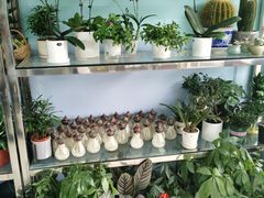 -花心思鲜花店(武昌徐东店)