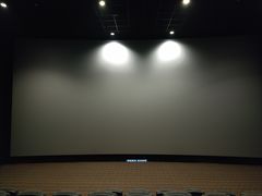 -金逸影城(影视中心IMAX店)