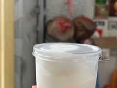 -洪馨椰子