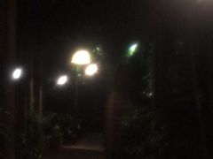 -卷心菜和避孕套餐厅(Pattaya)