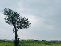 -金鸡湖高尔夫会员专属俱乐部