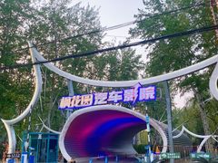 -枫花园汽车电影院(朝阳公园店)