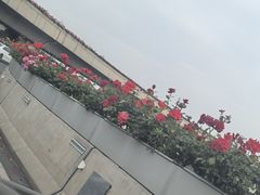 -楚江子·龙继斑鱼庄(建设东路店)