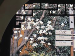 -龙华寺
