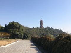 -天下玉苑