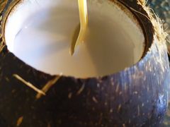 -文昌鸡饭店110号(中山路店)