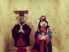 -济州岛泰迪熊博物馆