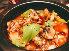 松露牛肝菌焖牛蛙-云海肴·汽锅鸡·云南菜(天津国金汇店)