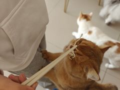 -平行世界·猫咖(首经贸店)