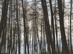 -硗碛藏寨·神木垒景区