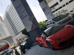 -荷兰红屋