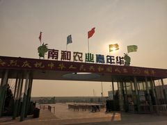 -南和农业嘉年华