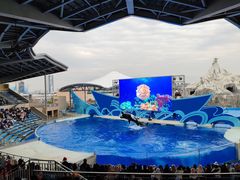 -上海海昌海洋公园
