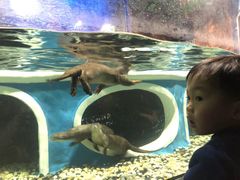 -成都浩海立方海洋公园