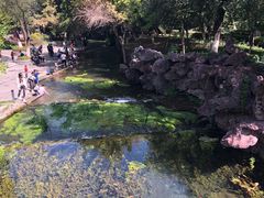 -水磨沟公园