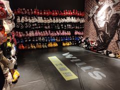 -威尔仕健身·游泳(KING88店)