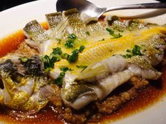 清蒸桂花鱼-炳胜品味(海印总店)