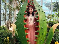 -沈阳植物园
