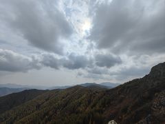 -苏木山森林公园