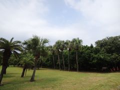 景点-鹅銮鼻灯塔