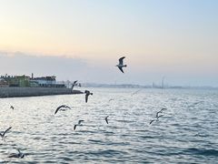 -大连海昌东方水城