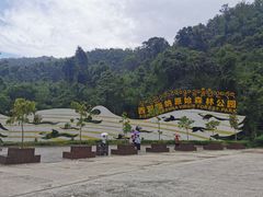 -西双版纳原始森林公园
