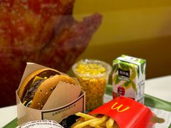 -麦当劳(新新大道岗丰店)