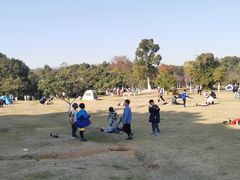 -艾溪湖湿地公园