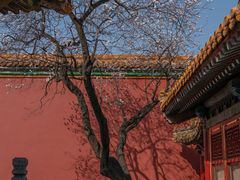 -故宫博物院(故宫)
