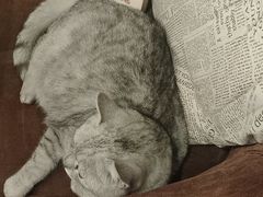 -隅cafe(傅厚岗店)