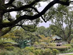 -申粤轩酒楼·三十年粤菜经典(丁香花园店)