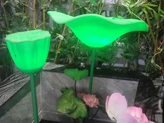 -不倒翁·安徽名菜楼(步行街店)