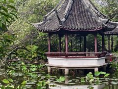 -上海醉白池公园
