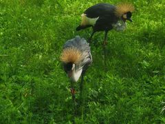 -哈尔滨北方森林动物园